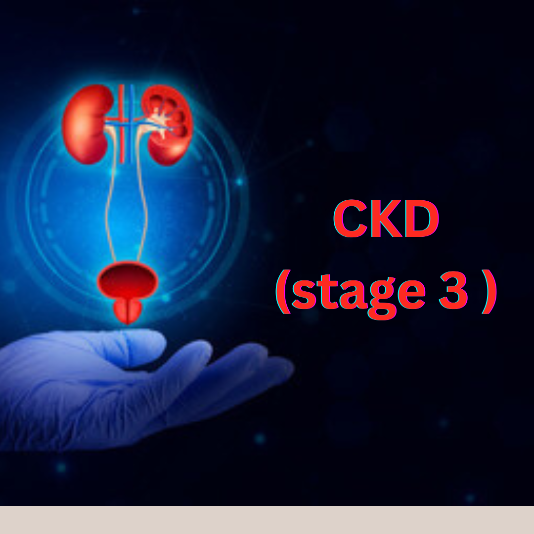 what-is-stage-3-ckd-medical-nutritional-therapy